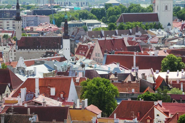 Panorama von tallinn — Stockfoto