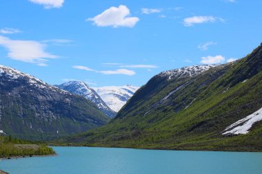 Norveç'te Nigardsbreen Buzulu