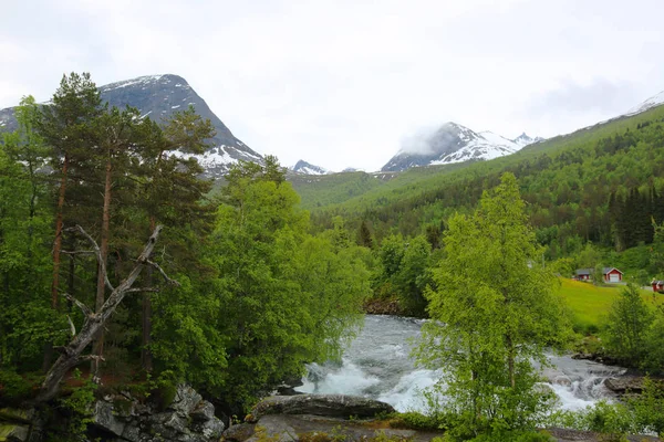 Fiume glaciale, Norvegia — Foto Stock