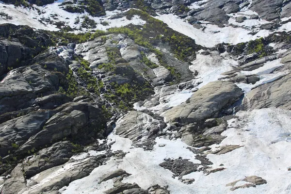 Pente de montagne d'été — Photo