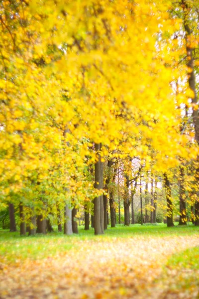 Herfst landschap van het park — Stockfoto