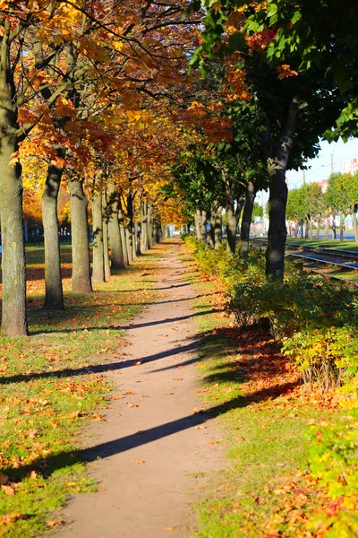 Herfst landschap van het park — Stockfoto