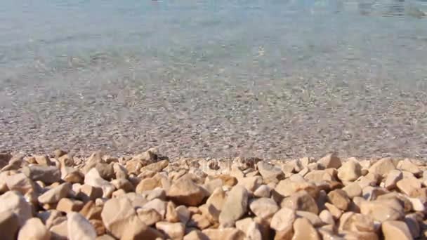 Plage de pierre et eau transparente — Video