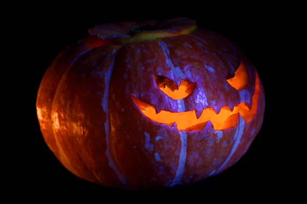 Halloween pumpkin on black — Stock Photo, Image