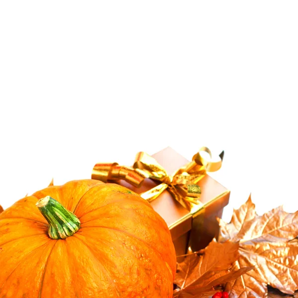 Calabaza de Halloween con hojas de otoño y regalo aislado en blanco —  Fotos de Stock