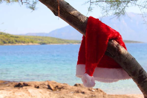 Chapéu de Papai Noel pendurado na árvore — Fotografia de Stock