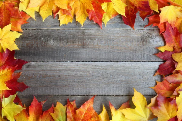 Herbst Blätter Rahmen auf Holz Hintergrund — Stockfoto