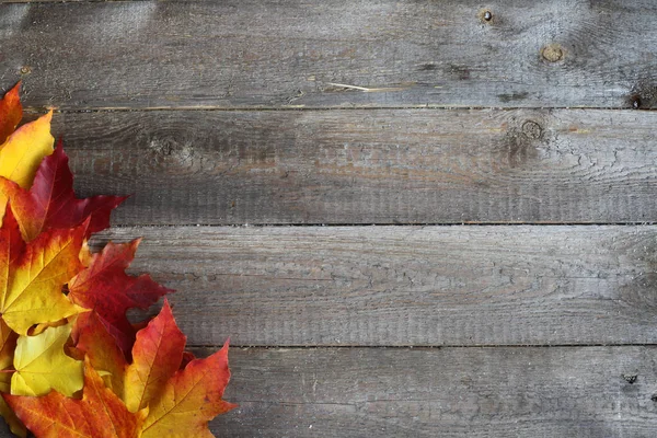 Outono folhas quadro no fundo de madeira — Fotografia de Stock