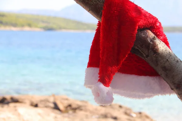 Kerstman hoed opknoping op boom — Stockfoto