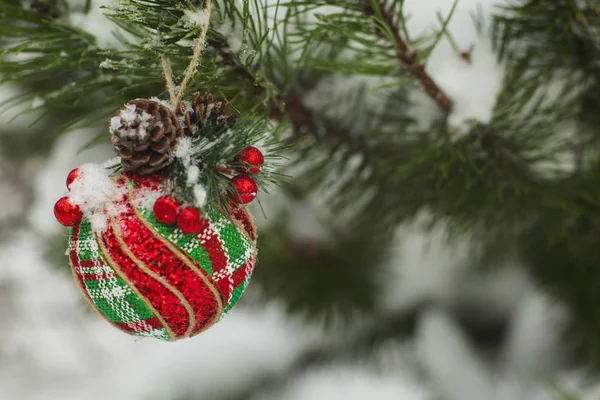 Bola de Navidad en el árbol — Foto de Stock