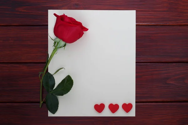 Red rose and paper — Stock Photo, Image