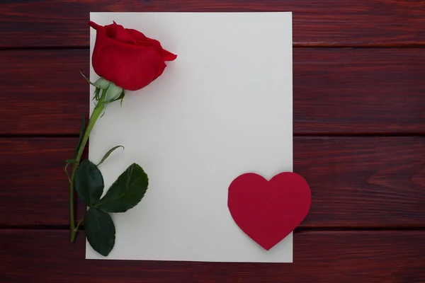 Red rose and paper — Stock Photo, Image