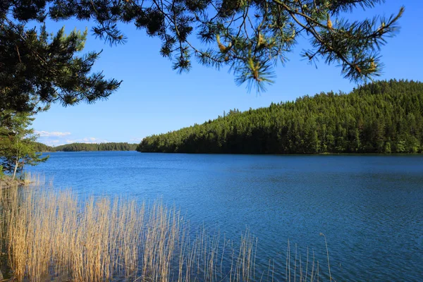 Seebecken in Schweden — Stockfoto