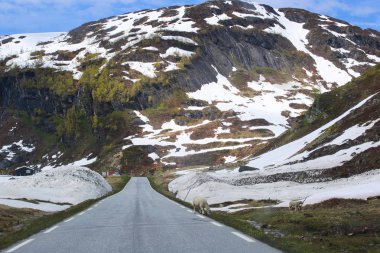 Bahar dağlar yol