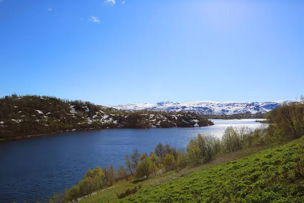 Zomer Noorwegen landschap — Stockfoto