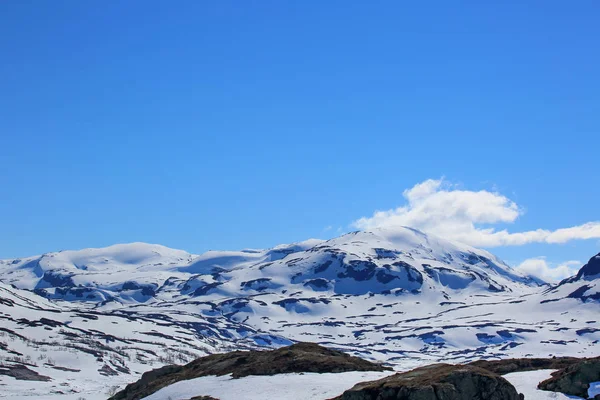 Frühlingslandschaft — Stockfoto