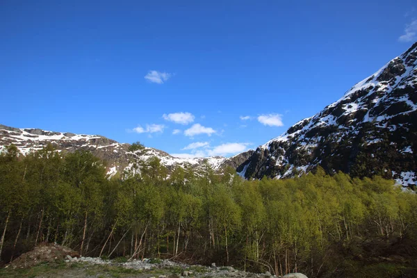 Wiosenny krajobraz Norwegia — Zdjęcie stockowe