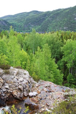 Tinnsja Gölü, Norveç