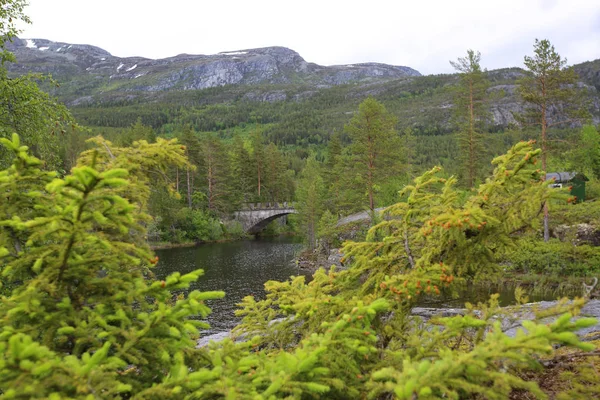 Lago Tinnsja, Noruega — Foto de Stock