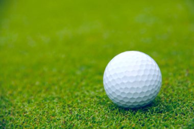 Golf topu kursu