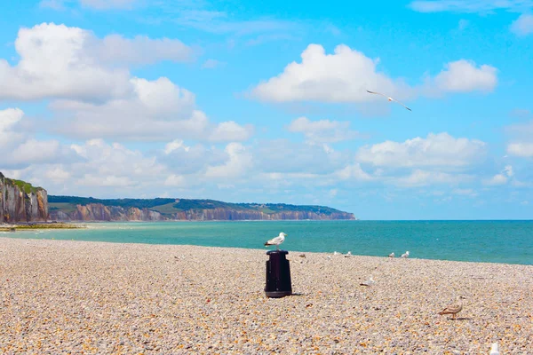 Sziklák és a strand a Dieppe — Stock Fotó