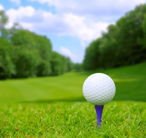 Pelota de golf en curso — Foto de Stock