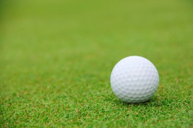 Golf topu kursu