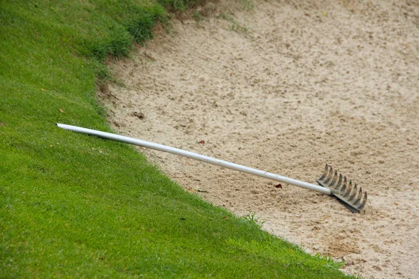 Hark in golf bunker — Stockfoto