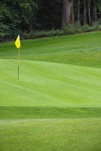 Bandeira de golfe na grama verde — Fotografia de Stock