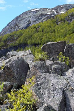 Norveç'in bahar dağlar