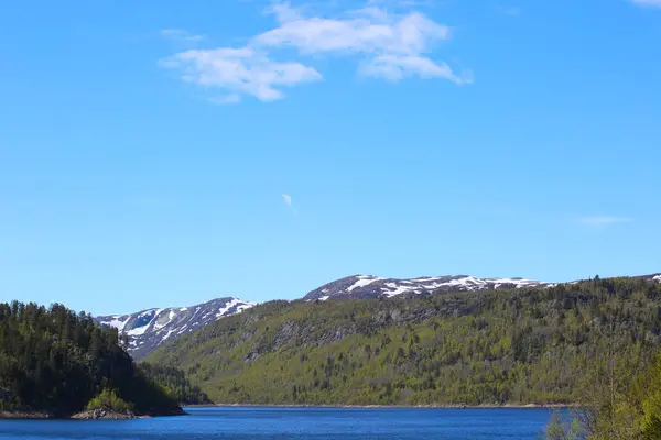 Летний пейзаж Норвегии — стоковое фото