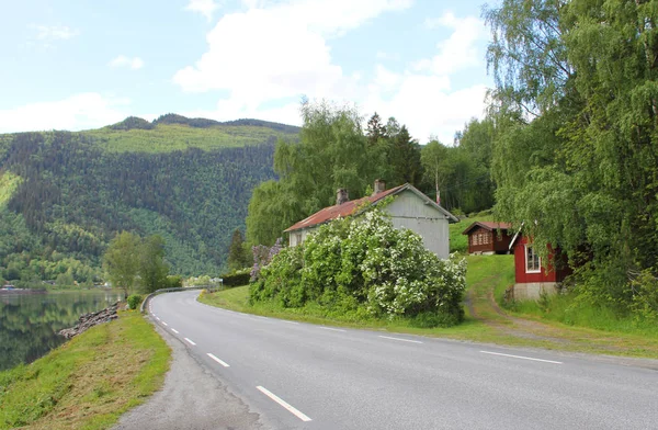 Malebná silnice Norsko — Stock fotografie