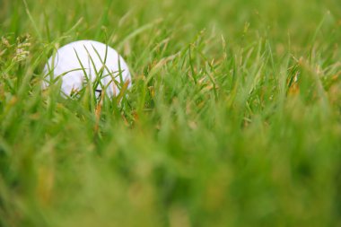 Golf topu kursu