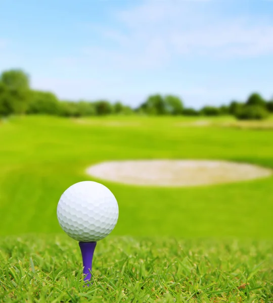 Bola de golfe no campo — Fotografia de Stock