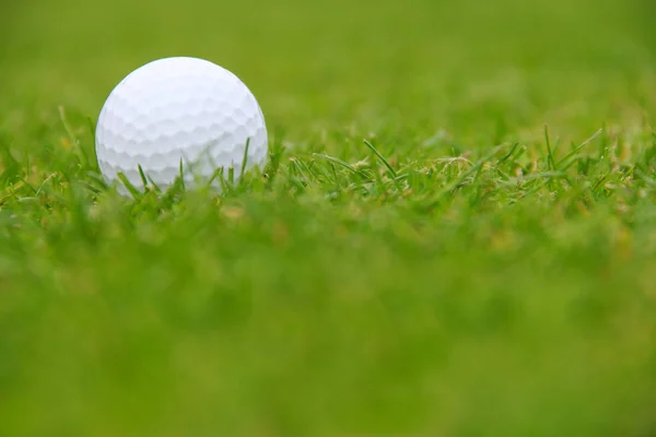 Golf ball on course — Stock Photo, Image