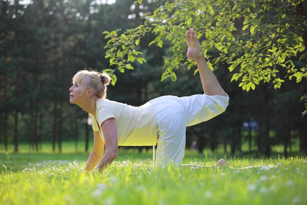 Yoga femme dans le parc — Photo