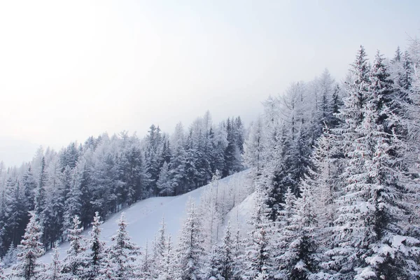 Montañas de invierno en Soelden —  Fotos de Stock