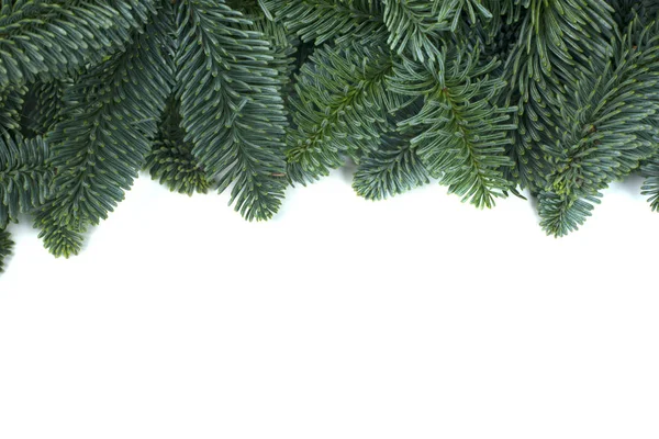 Weihnachtsbaumrahmen — Stockfoto