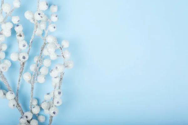 Świąteczna gałązka z białymi jagodami — Zdjęcie stockowe