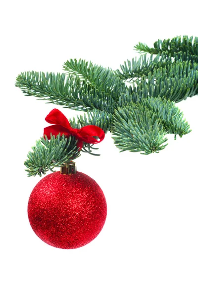 Рождественская елка и красный шар на белом — стоковое фото