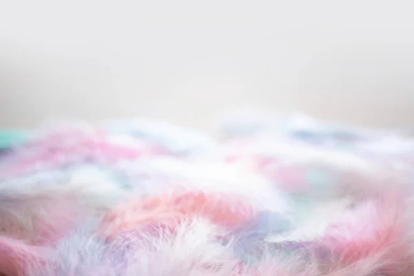 Coral Pink Blue Green Pastel Colored Color Trends Feather Texture — Stock Photo, Image