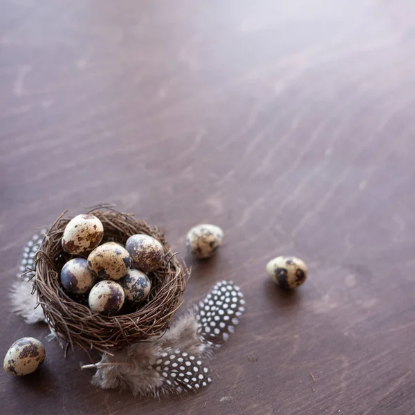 巣の中の卵と羽をコピースペース イースターの卵 イースターの巣のコンセプトで暗い木製の背景にウズラ — ストック写真