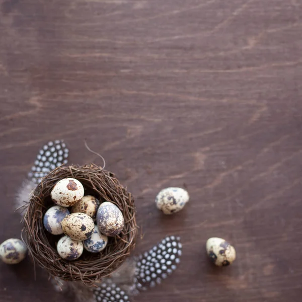 Quail Eggs Feathers Nest Dark Wooden Background Copy Space Easter — Stock Photo, Image