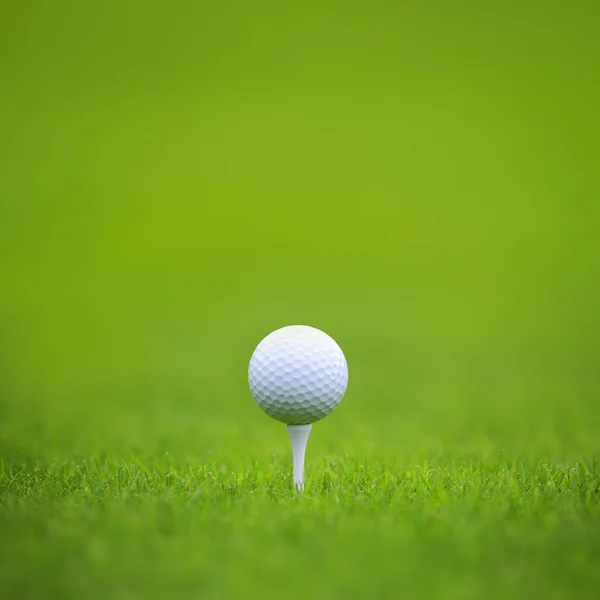 Golf Topu Golf Sahasında Yeşil Çimlerde Arka Planda Afiş Foth — Stok fotoğraf