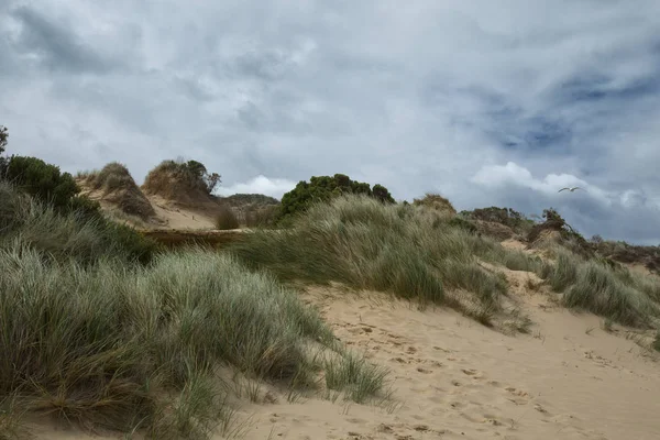 Sand dunes in Australia — Stock Photo, Image