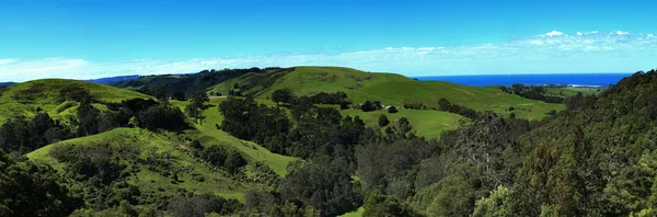 Долина возле Большой Океанской дороги в Австралии — стоковое фото