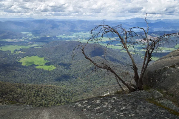 Mount Buffalo in Australië — Stockfoto