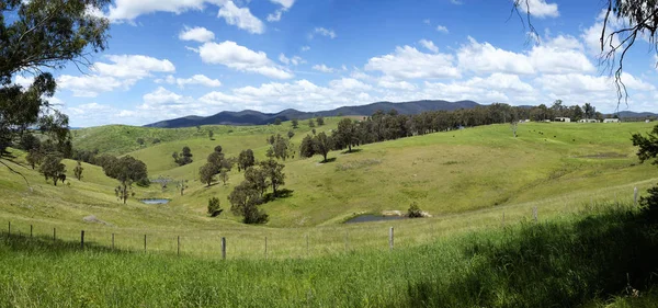 オーストラリア、ビクトリア州のバッカンの丘 — ストック写真