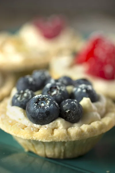Fresh tartlets with blueberry — Stock Photo, Image