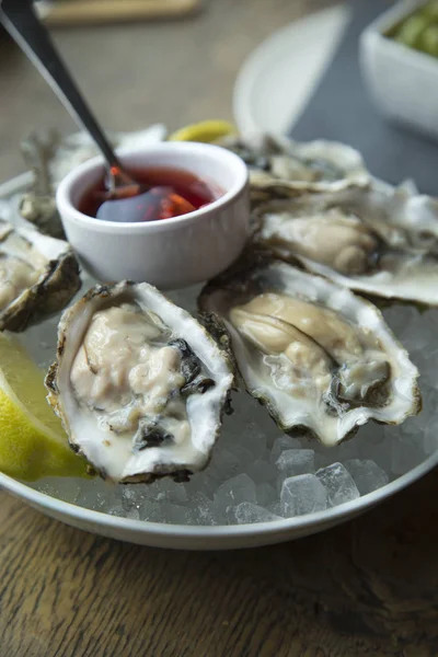 Oyster on ice in a plate — Stock Photo, Image